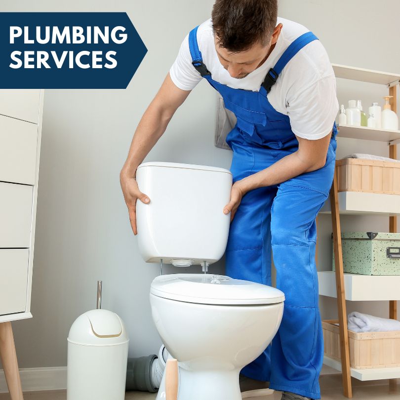 Plumbing Company in Arabi, GA